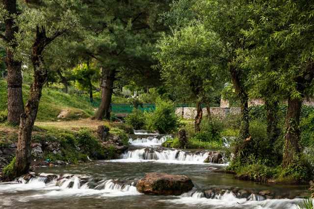 Kokernag
